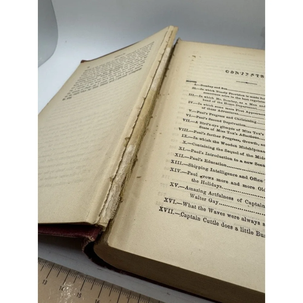 Charles Dickens Household Edition Antique Decorative Cloth Book English 1884